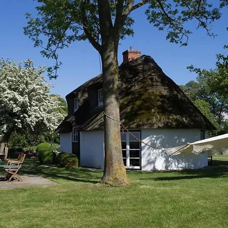 Clara Elisabeth * Doehnsdorf